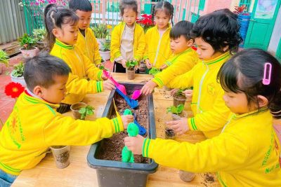 🌿 HƯỞNG ỨNG TẾT TRỒNG CÂY GIEO MẦM XANH, ƯƠM TƯƠNG LAI 🌿
