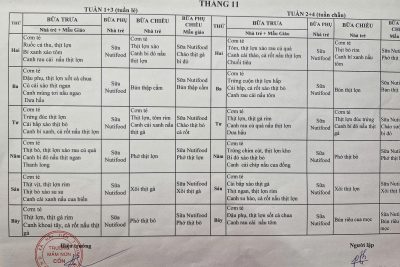THỰC ĐƠN CỦA BÉ THÁNG 11/2025